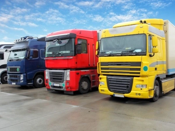 Bursa Ardanuç Nakliye